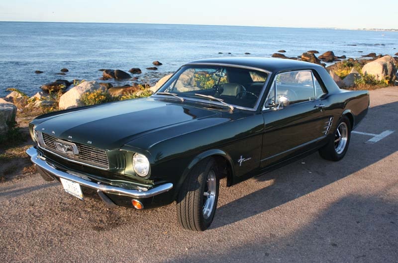Mustang by the shore