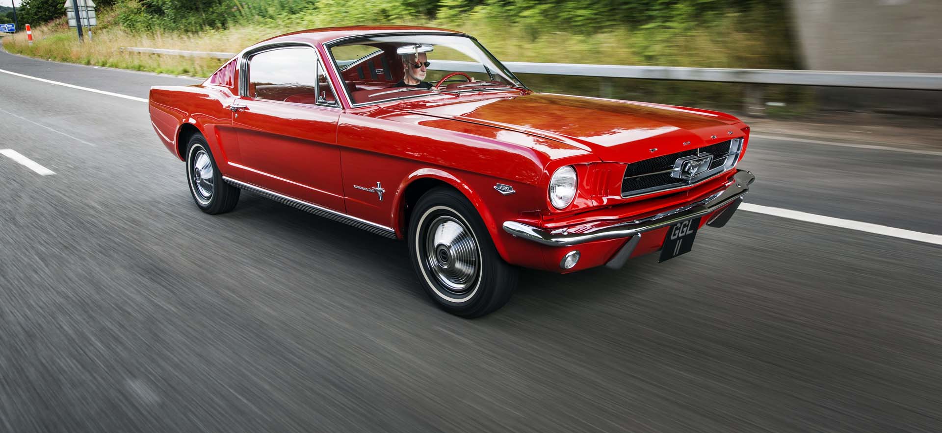 Mustang on the road