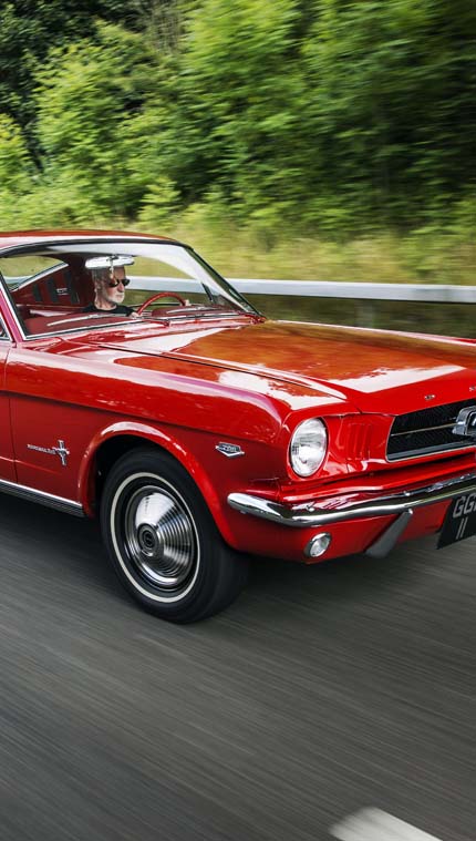Mustang on the road