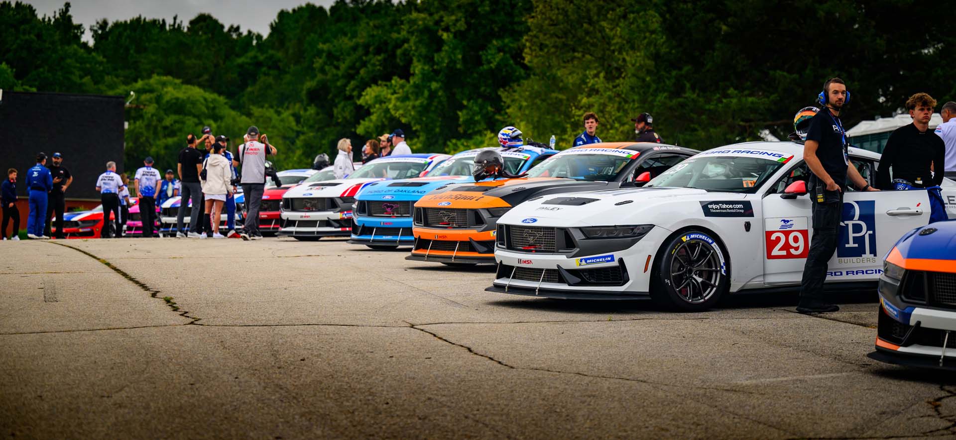 Mustangs in a row