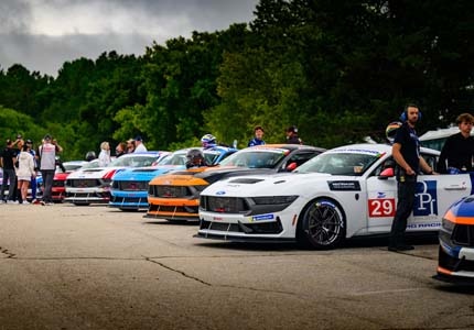 Mustangs in a row