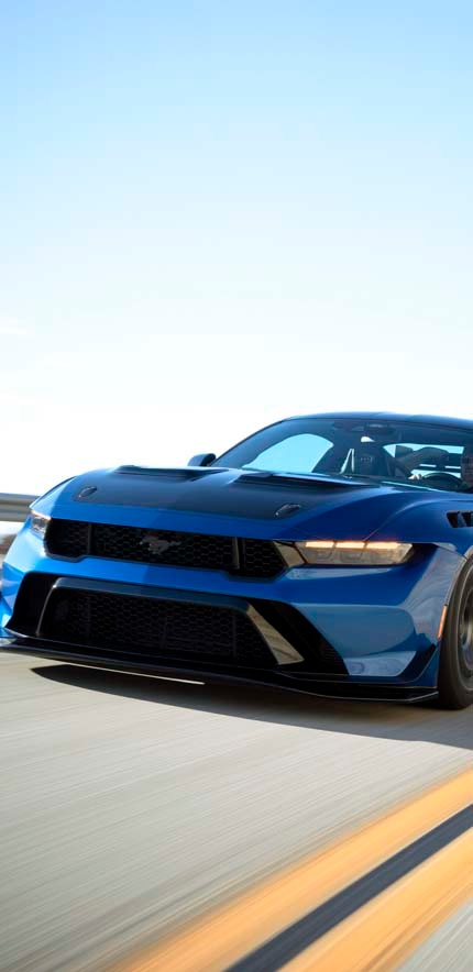 Mustang on the track