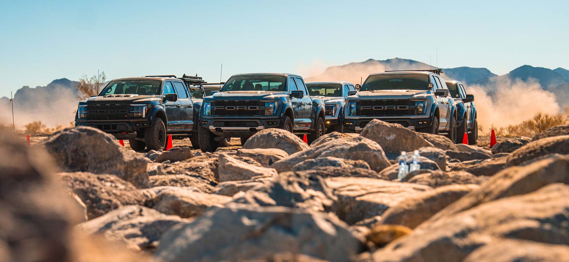 Raptors in desert