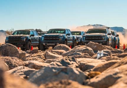 Raptors in the desert