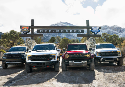 Raptors in front of sign