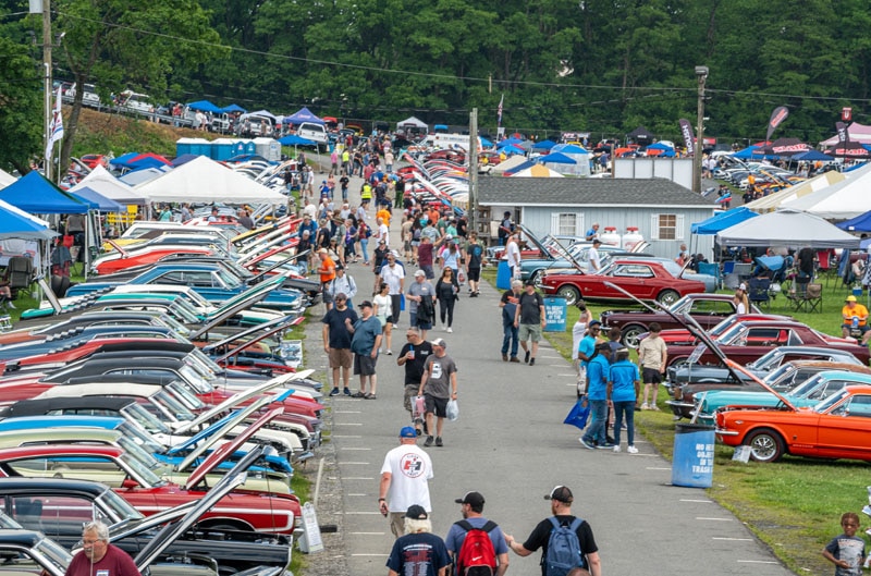 Fords in a field at Carlisle