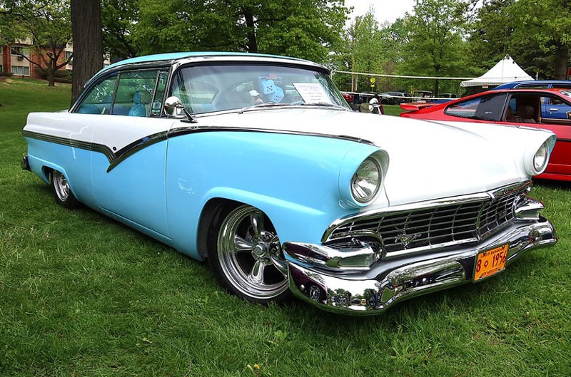 Blue and white mustang in the grass