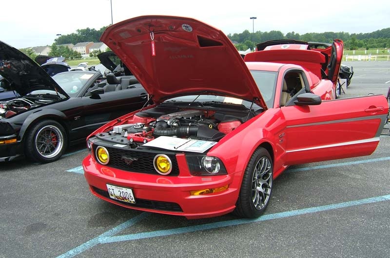 Mustang on display