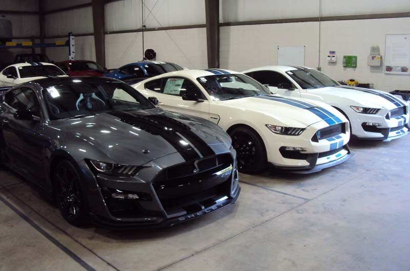 Mustangs on display