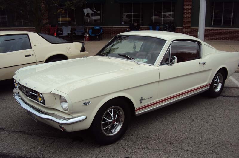 Mustang on display