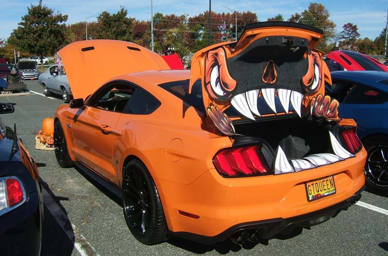 Mustang on the track