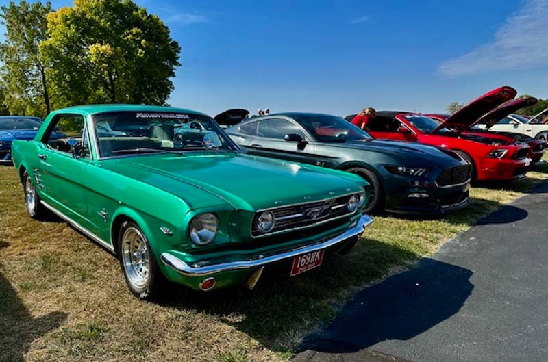 Mustang on display