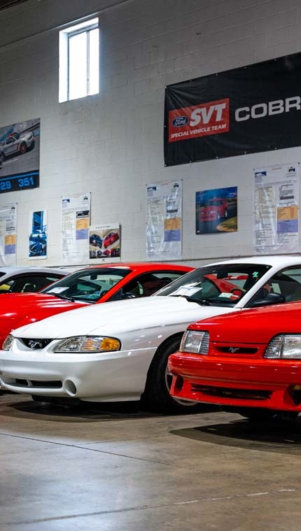 Mustangs on display