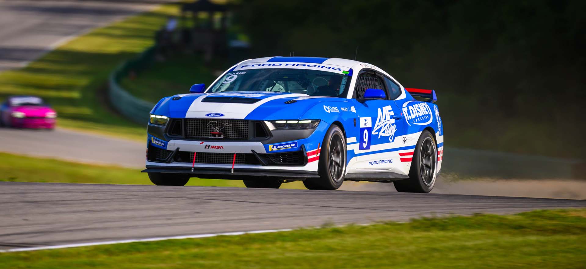 Mustang on the track