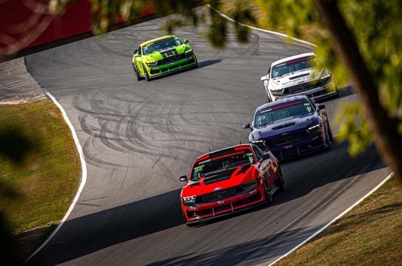 Mustangs on the track