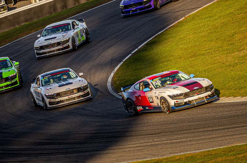 Mustang on the track