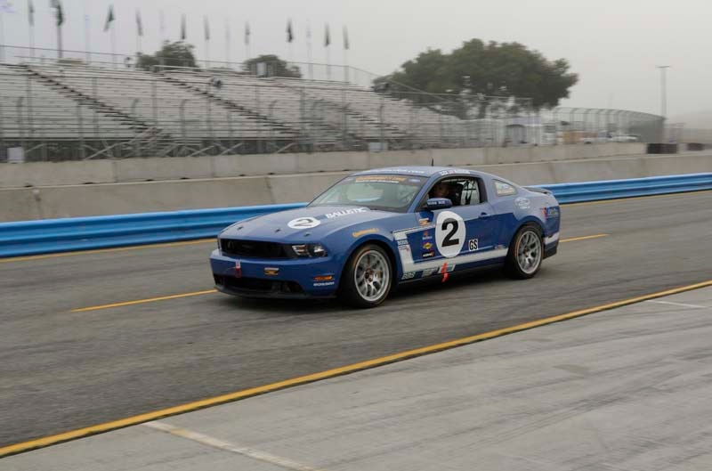 Mustang on the track