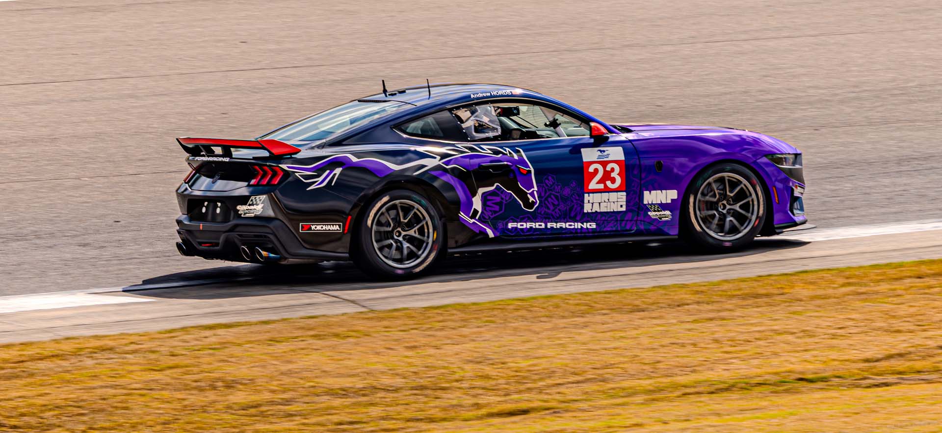 Mustang on the track