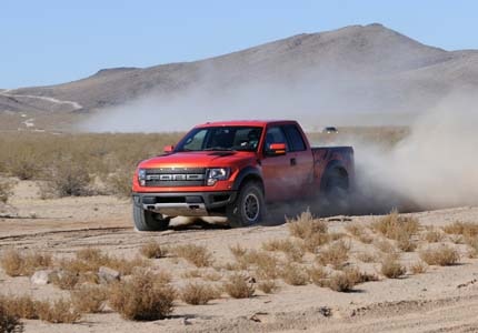 Raptor in desert