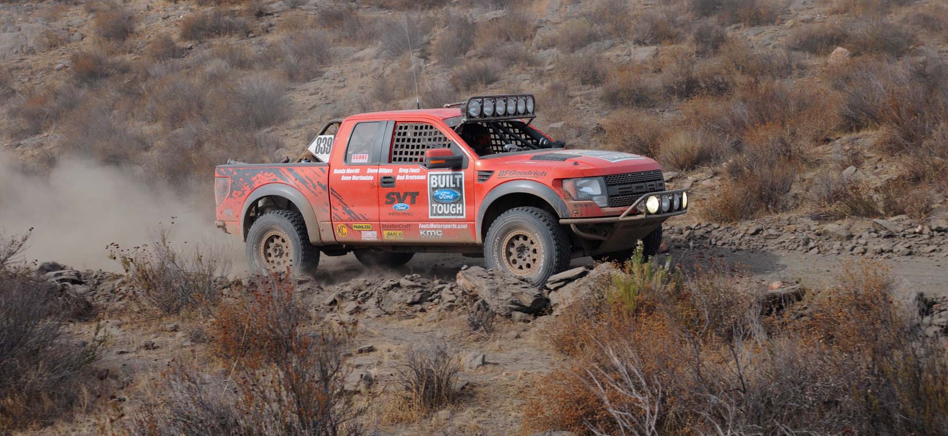 Raptor on the road