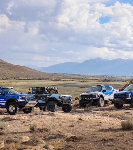 Raptor lineup in desert