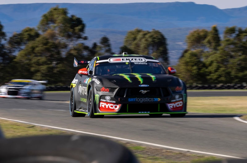 Mustang on the track