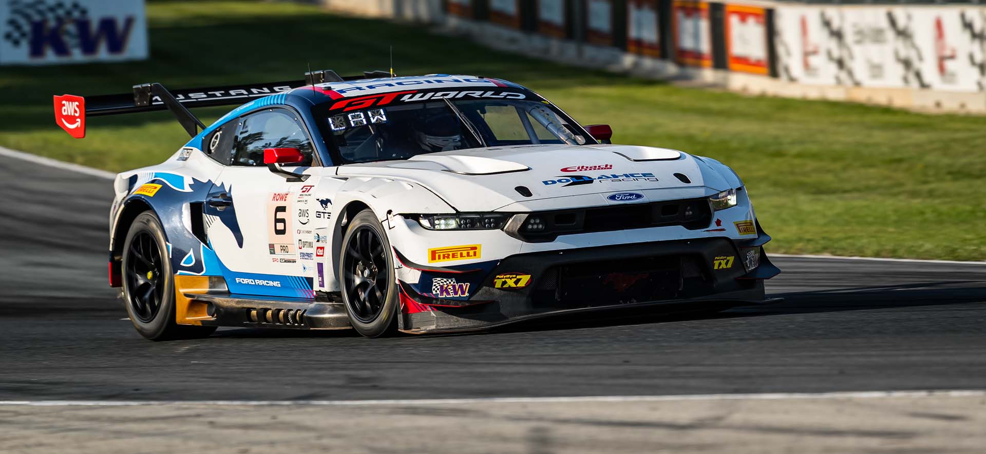 Mustang on the track