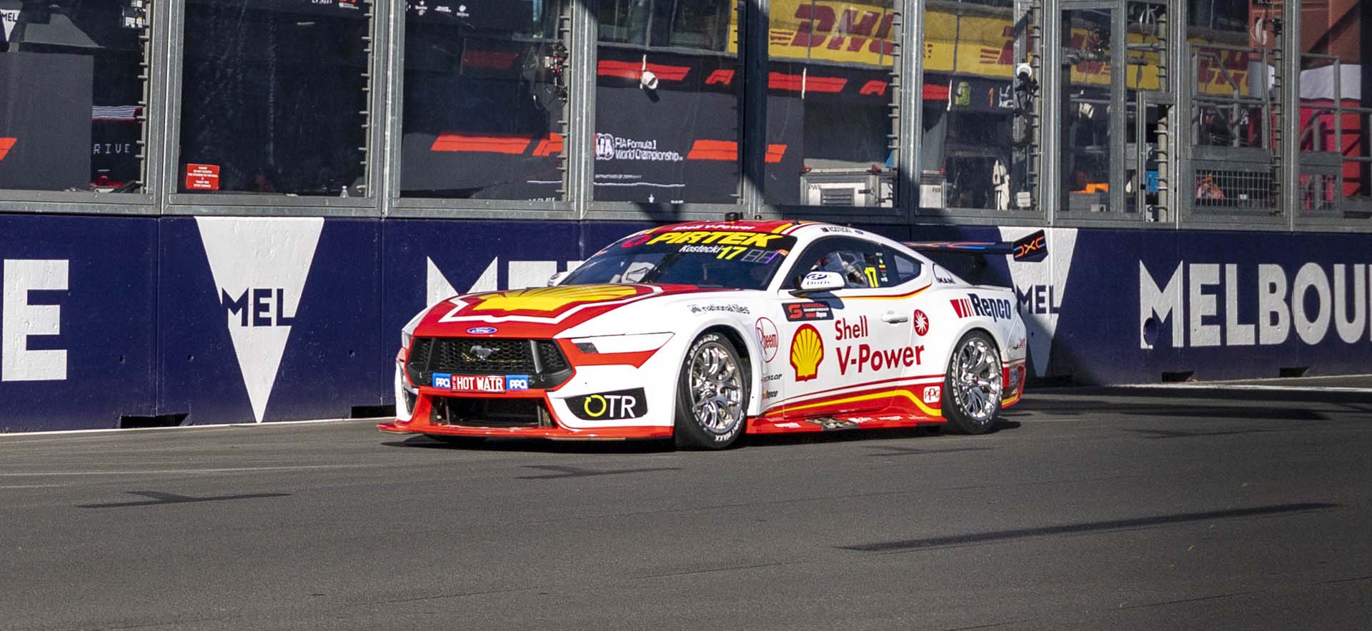 Mustang on the track