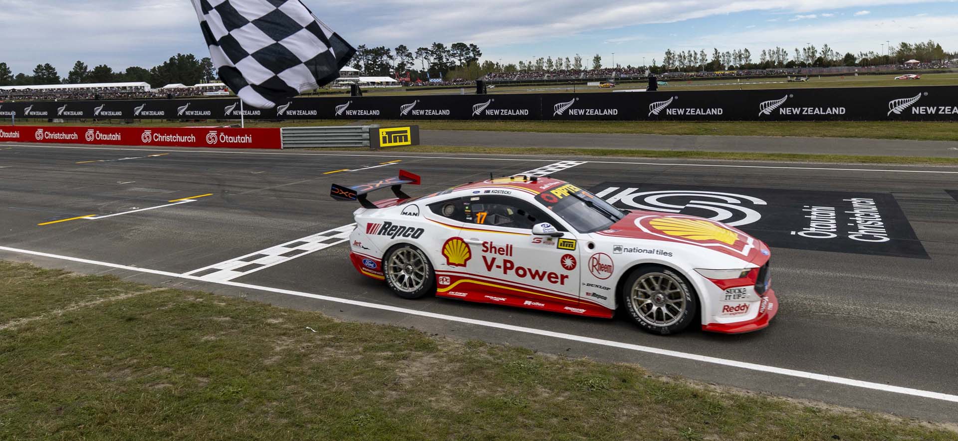 Mustang on the track
