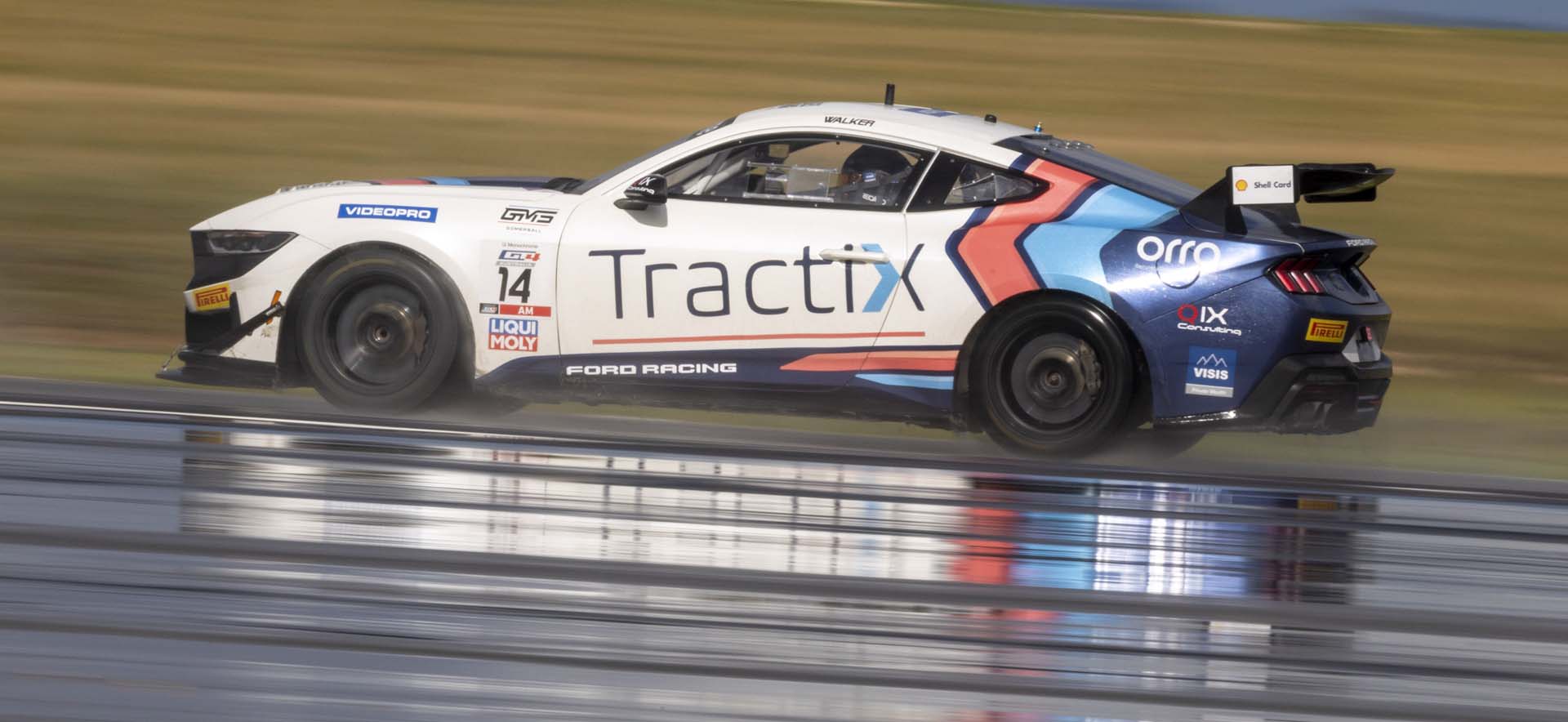 Mustang on the track