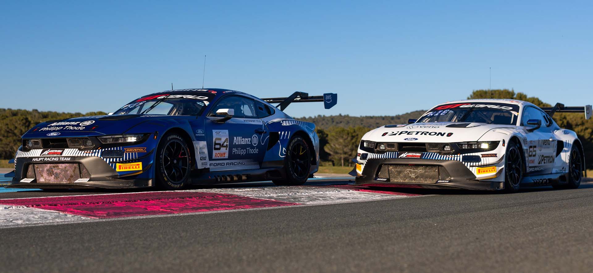 Mustang on the track