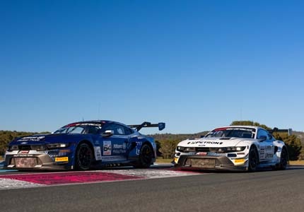 Mustang on the track