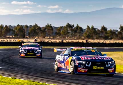 Mustang on the track