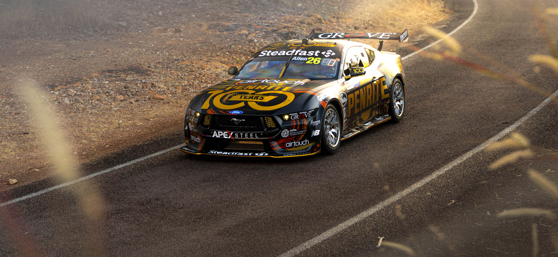 Mustang on the track