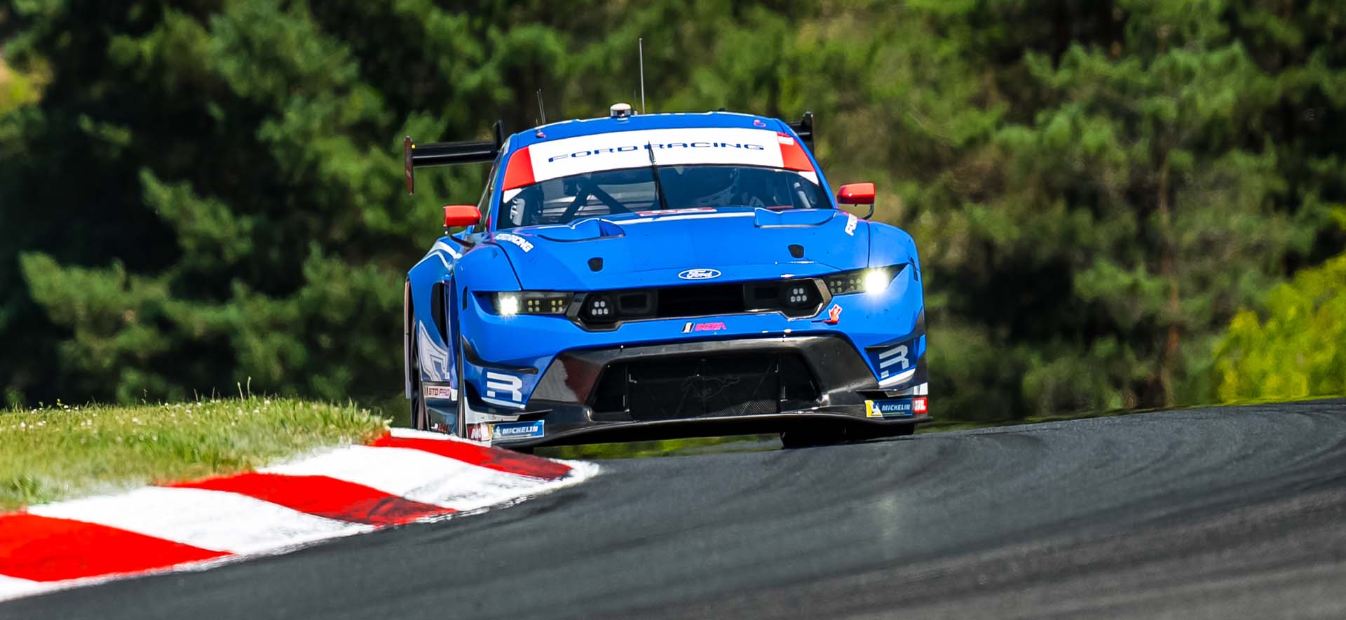 Mustang on the track