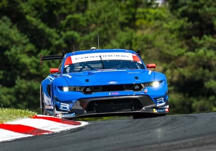 Mustang on the track