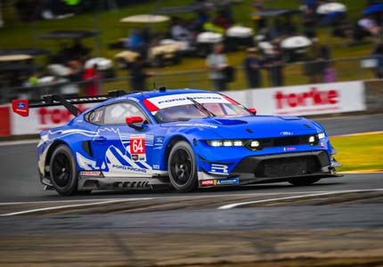 Mustang on the track