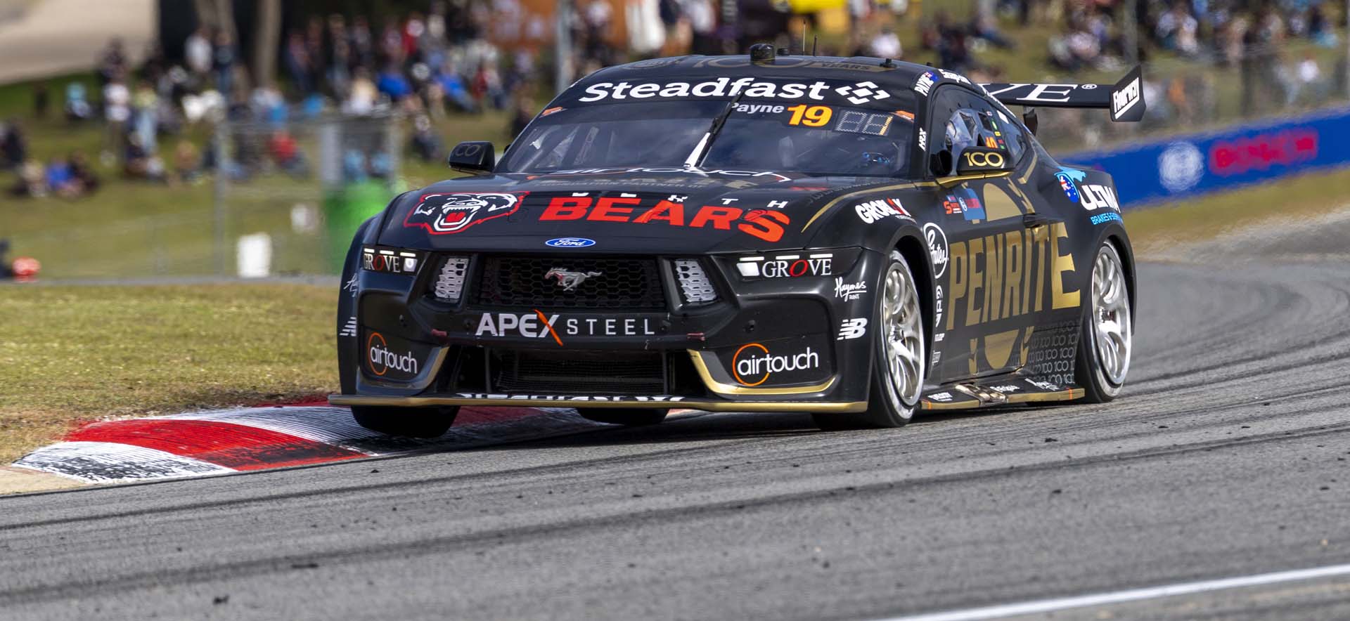 Mustang on the track