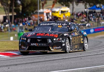 Mustang on the track