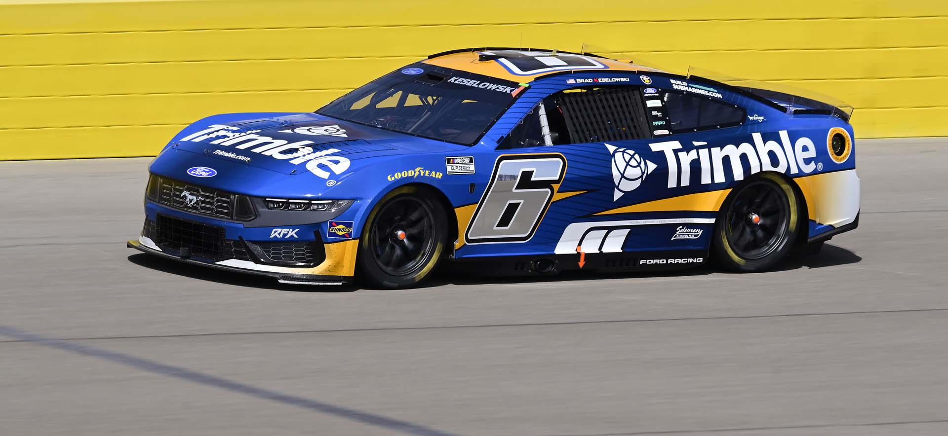Mustang on the track