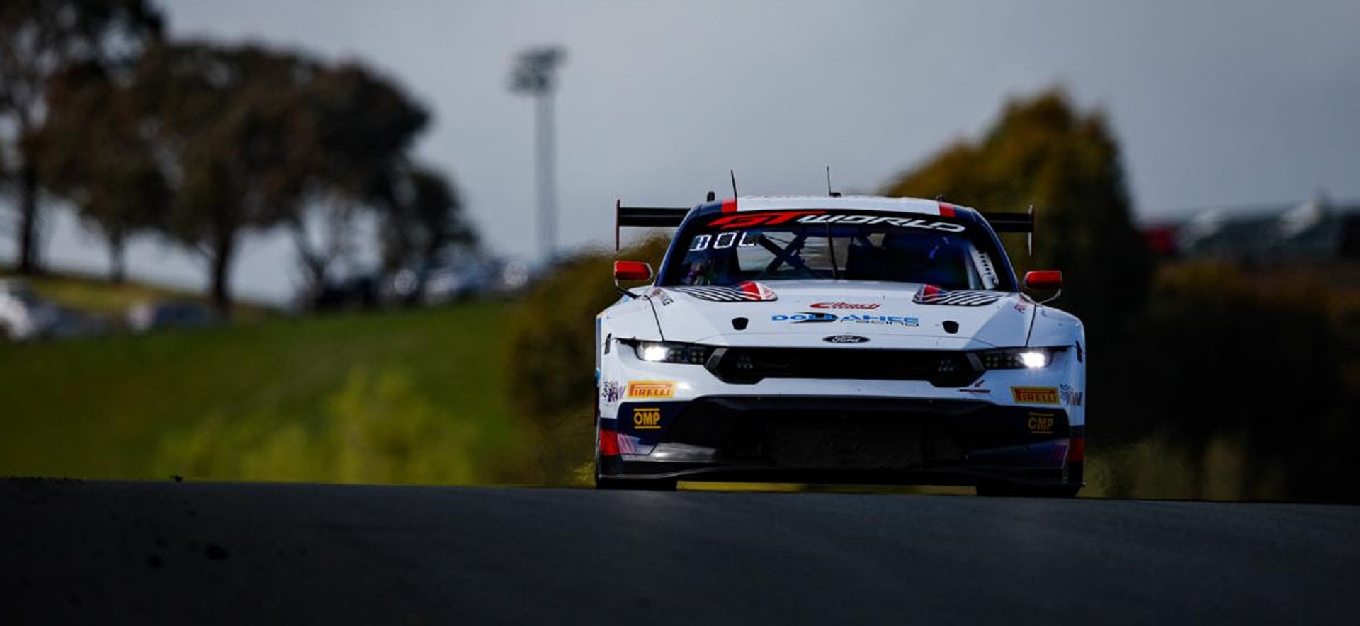 Mustang on the track