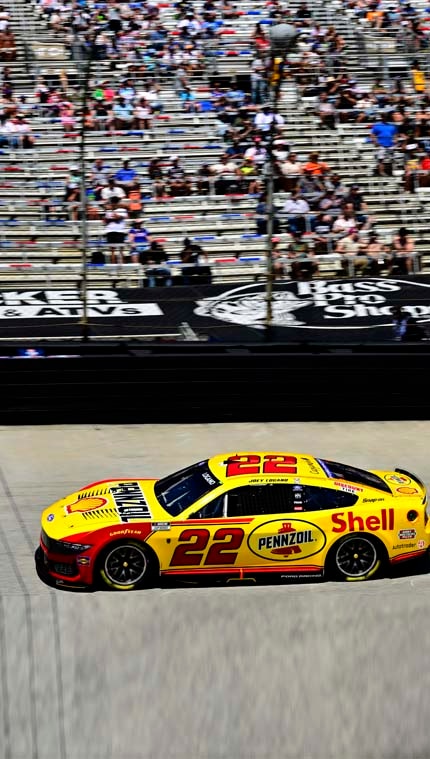 Mustang on the track