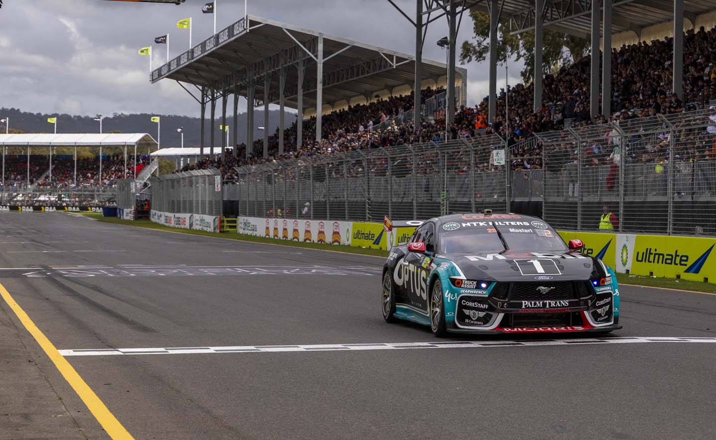 Mustangs on the track