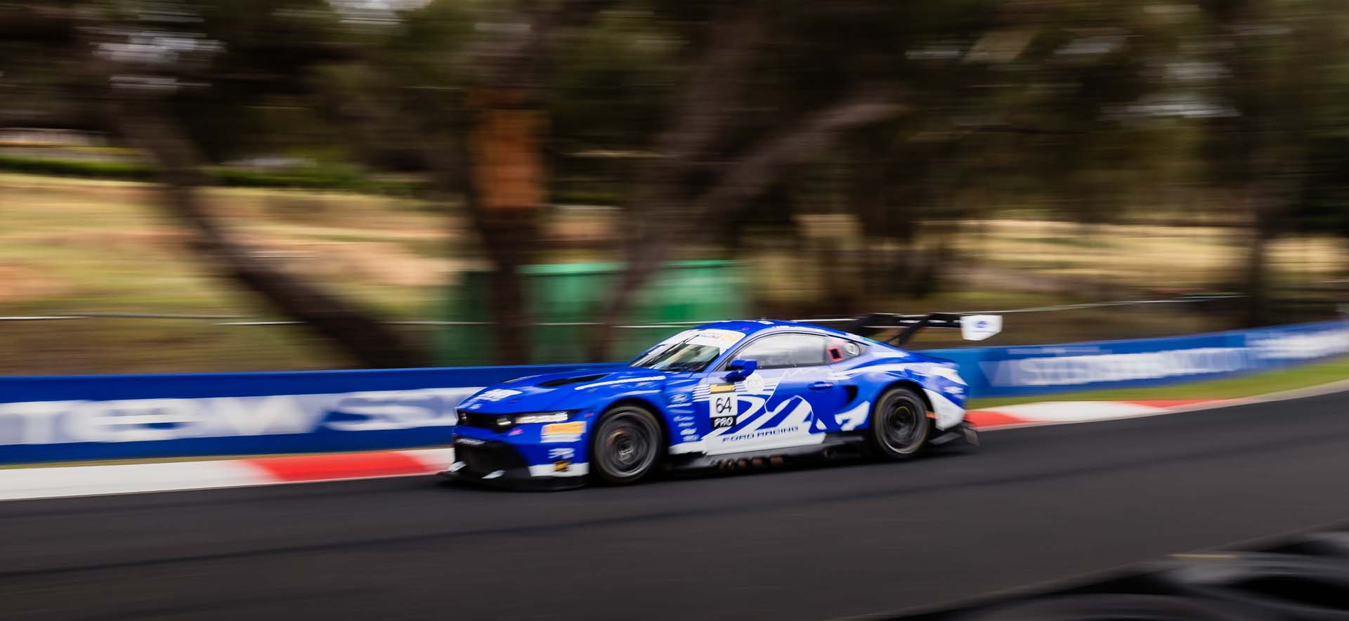 Mustang on the track