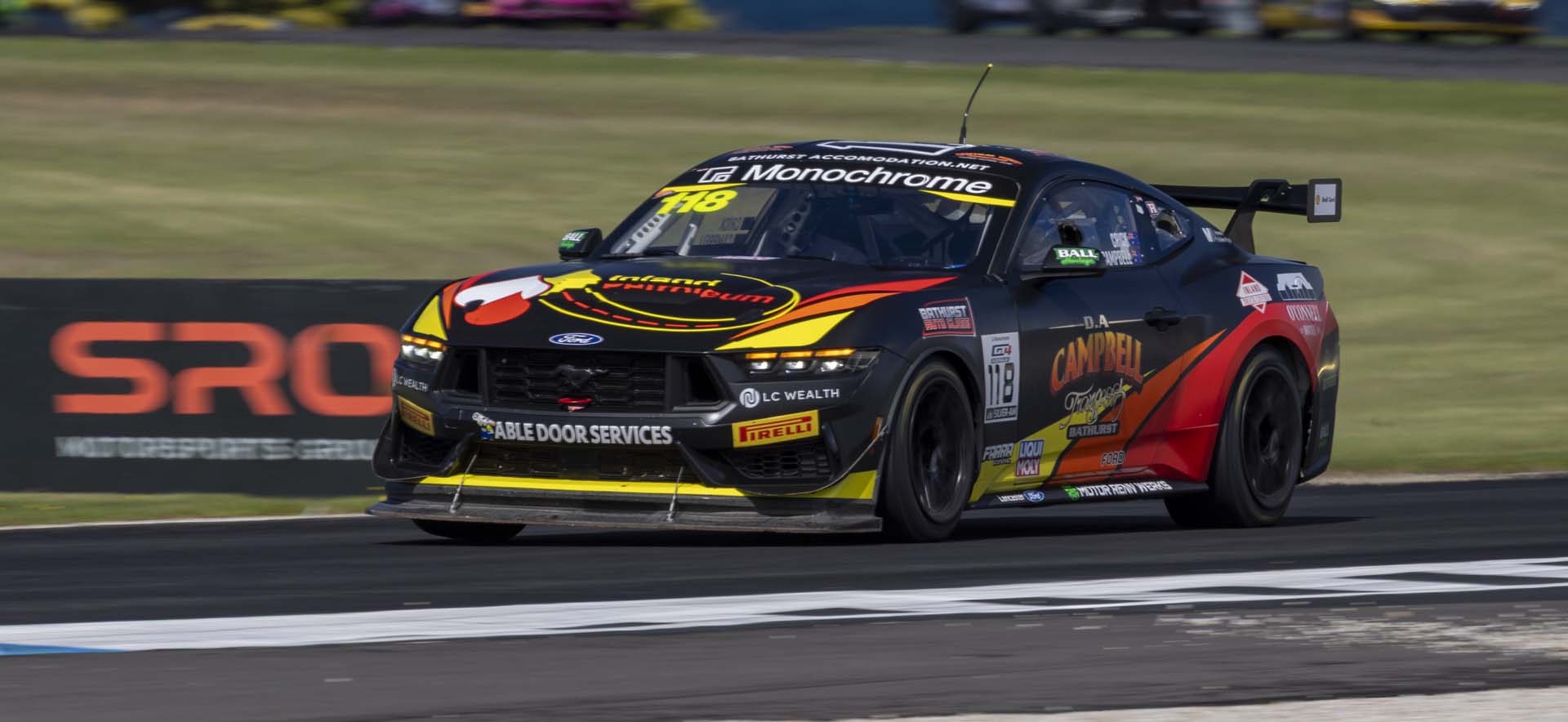 Mustang on the track