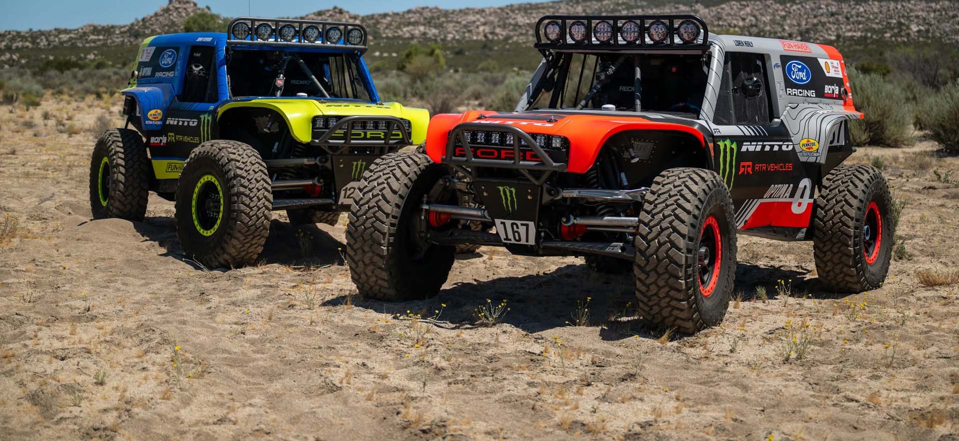 Broncos in desert