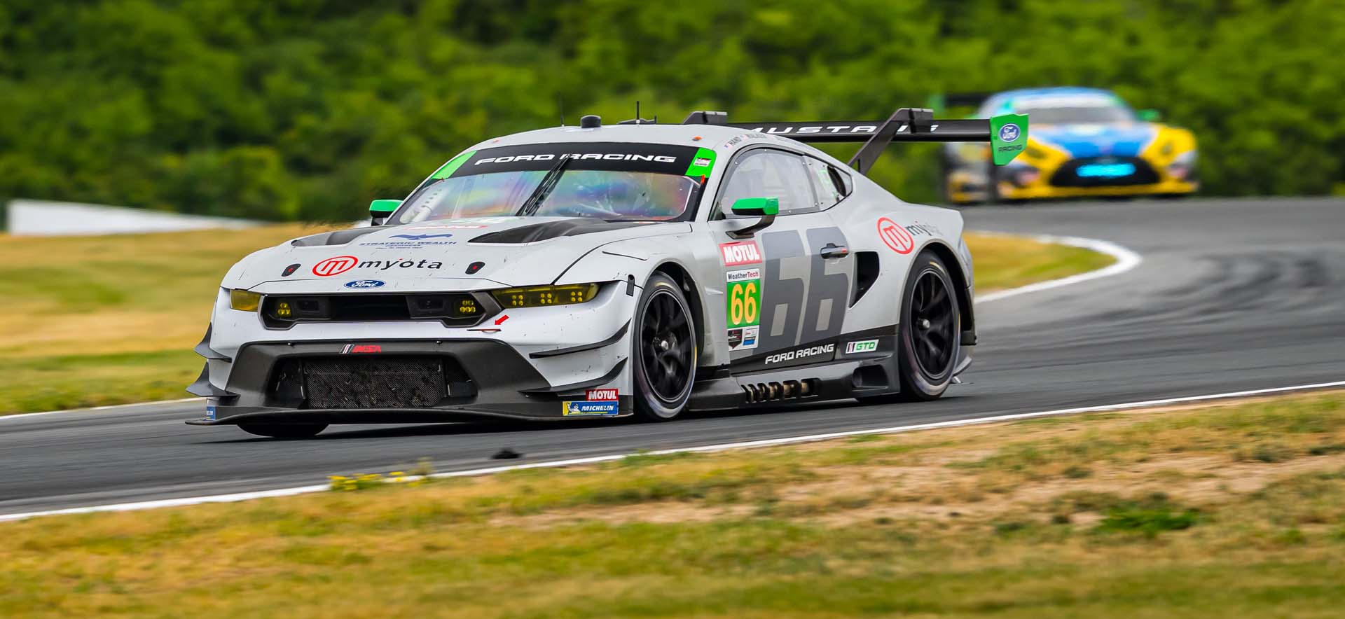 Mustang on the track