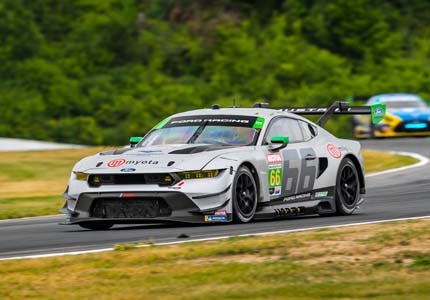 Mustang on the track