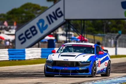 Mustang on the track