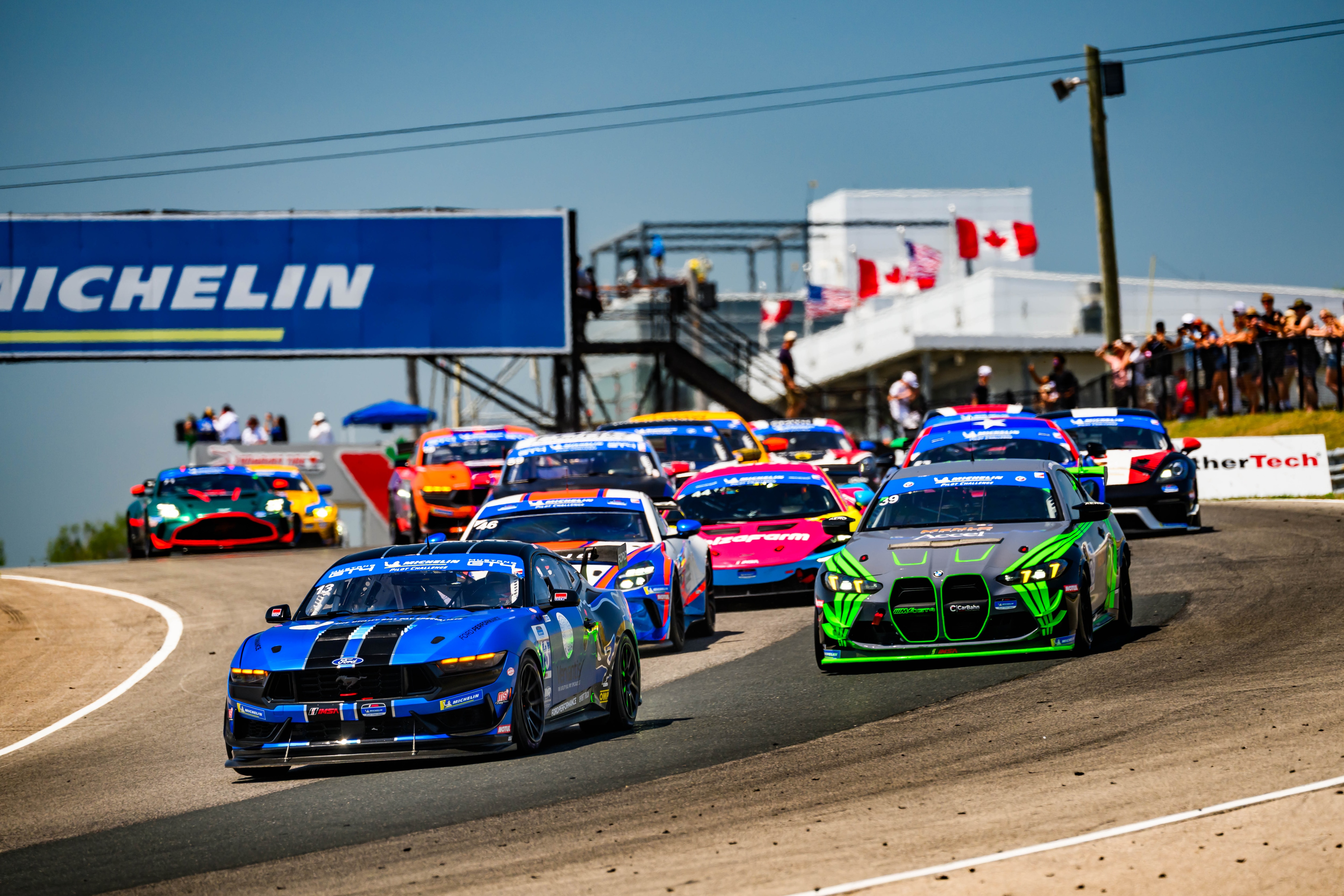 Mustang on the track
